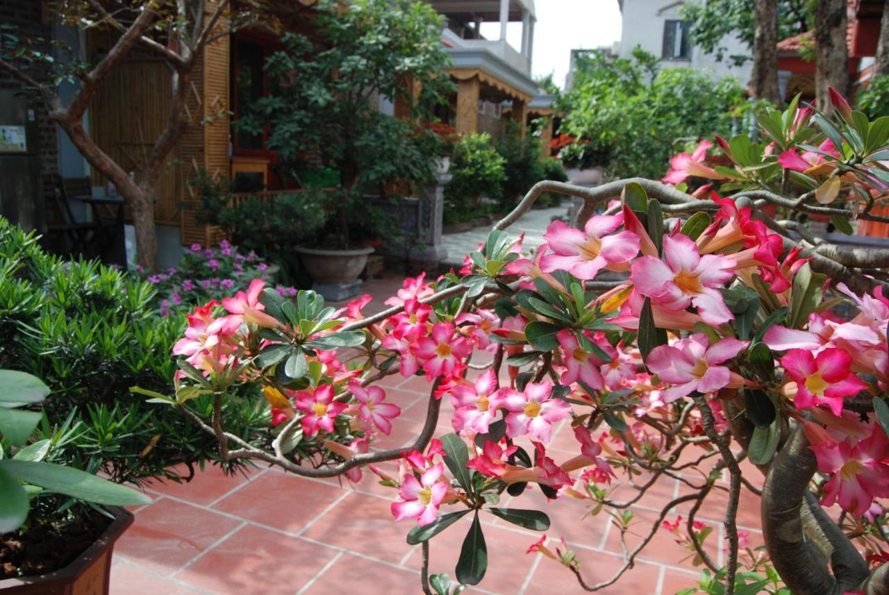 Hotel Tam Coc Tropical Garden Ninh Binh Esterno foto