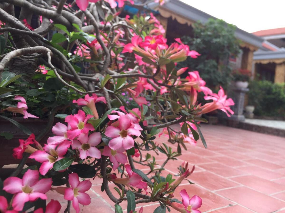Hotel Tam Coc Tropical Garden Ninh Binh Esterno foto